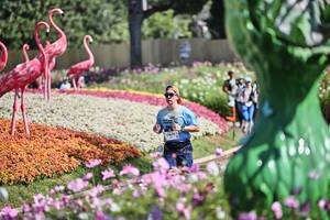 BIB: 
                            <button type="button" onclick="openModal(27793246)" class="btn btn-primary btn-sm float-right btn-popup" data-toggle="modal" data-target=".modal-high-quality">
                        <i class="fas fa-shopping-cart"></i> Add to Cart
                    </button>
                                            <button type="button" onclick="isThisMe(27793246, true)" class="btn btn-success btn-sm float-right btn-popup btn-isme hidden" data-toggle="tooltip" data-placement="bottom" title="นี่คือรูปของคุณใช่ไหม คลิกที่นี่เพื่อเอาเข้าอัลบั้ม">
                        <i class="fas fa-plus"></i> Add to album
                    </button>
                    <button type="button" onclick="isThisMe(27793246, false)" class="btn btn-warning btn-sm float-right btn-popup btn-isnotme hidden">
                        <i class="fas fa-ban"></i> Remove from album
                    </button>